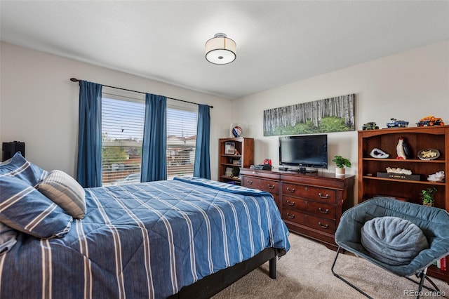 1055 Lindstrom Dr, Colorado Springs, CO 80911 - bedroom with light carpet