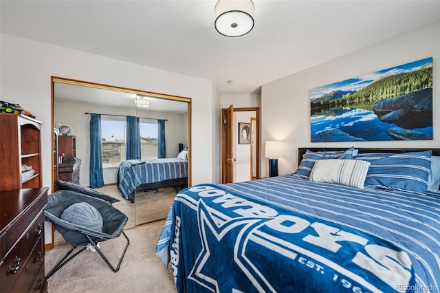 1055 Lindstrom Dr, Colorado Springs, CO 80911 - bedroom with a closet and carpet