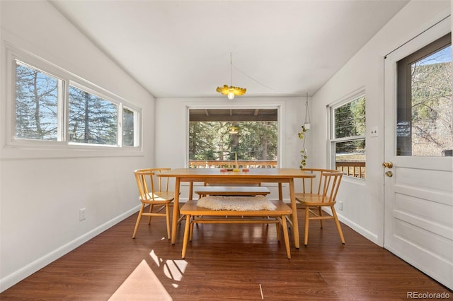 10179 S Turkey Creek Rd, Morrison, CO 80465 - dining area with healthy amount of natural light, dark wood-type flooring, and baseboards
