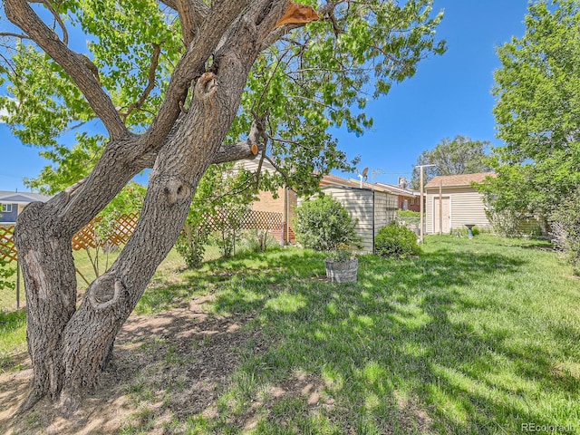 3531 E 91st Ave, Thornton, CO 80229 - view of green lawn
