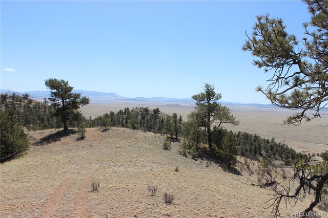 1034 Settele Dr, Hartsel, CO 80449 - photo 18