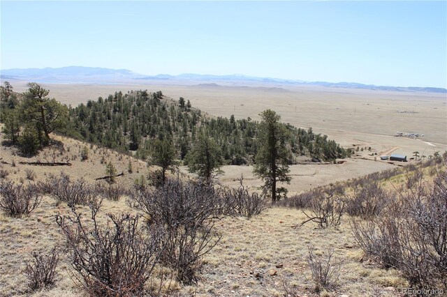 1034 Settele Dr, Hartsel, CO 80449 - photo 1