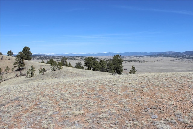 1034 Settele Dr, Hartsel, CO 80449 - photo 4