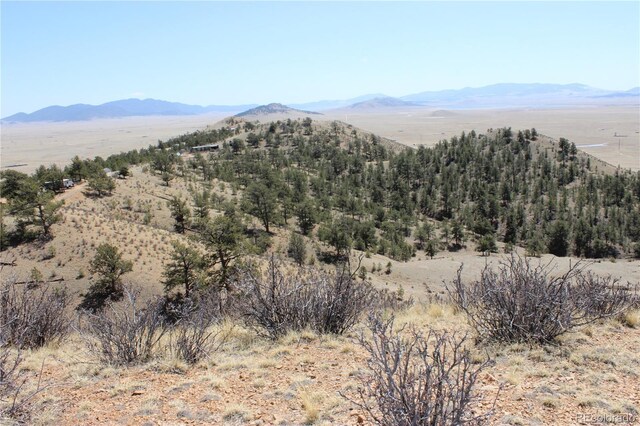 1034 Settele Dr, Hartsel, CO 80449 - photo 5