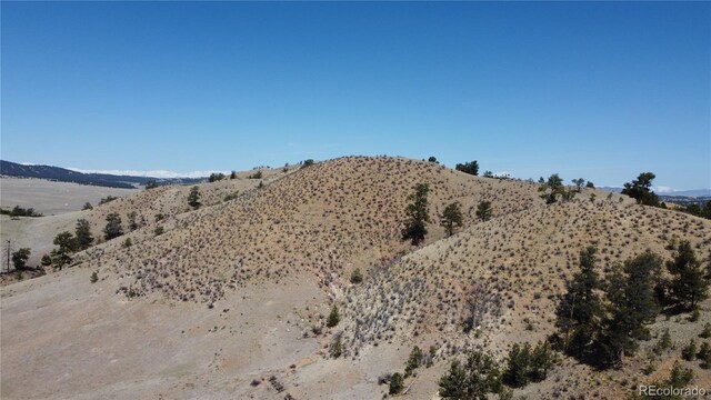 1034 Settele Dr, Hartsel, CO 80449 - photo 7