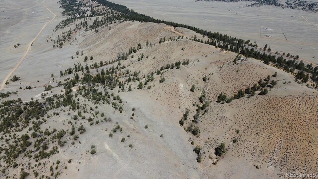 1034 Settele Dr, Hartsel, CO 80449 - photo 9