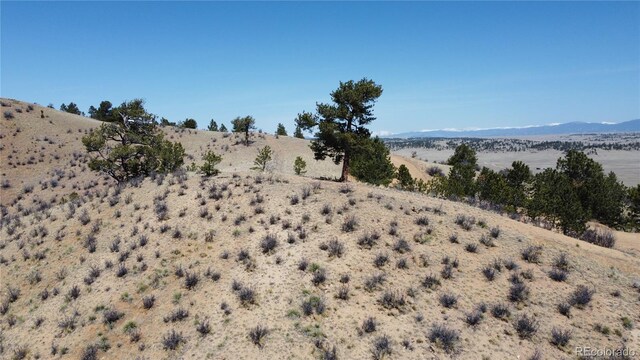 1034 Settele Dr, Hartsel, CO 80449 - photo 14