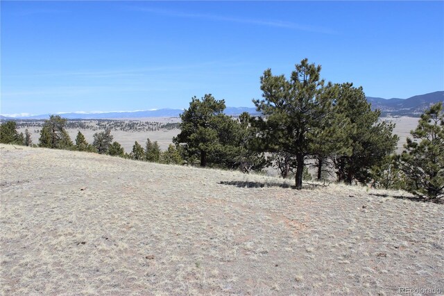 1034 Settele Dr, Hartsel, CO 80449 - photo 16