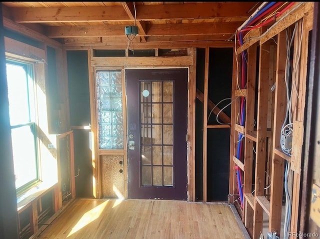 miscellaneous room with hardwood / wood-style flooring and a wealth of natural light