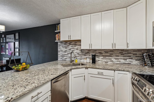 kitchen with white cabinetry, tasteful backsplash, stainless steel appliances, and sink