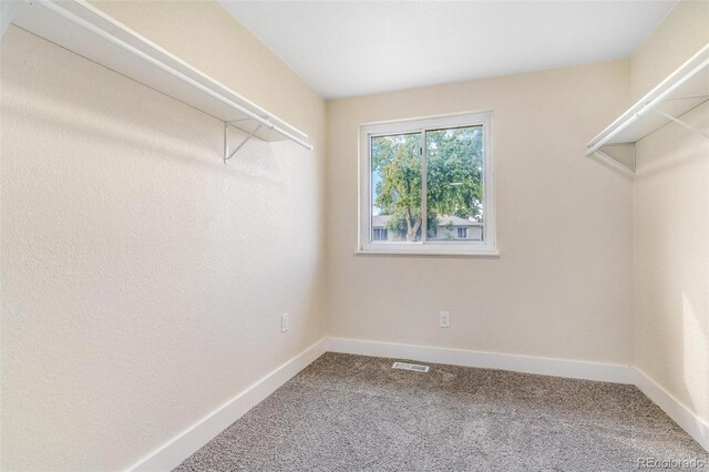 3480 E 119th St, Thornton, CO 80233 - spacious closet with carpet
