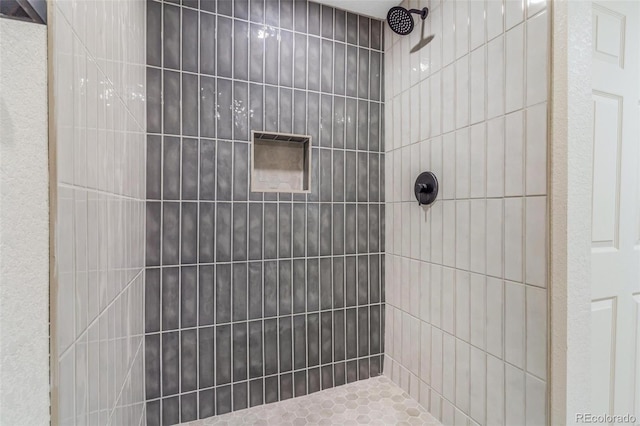 3480 E 119th St, Thornton, CO 80233 - bathroom with tiled shower