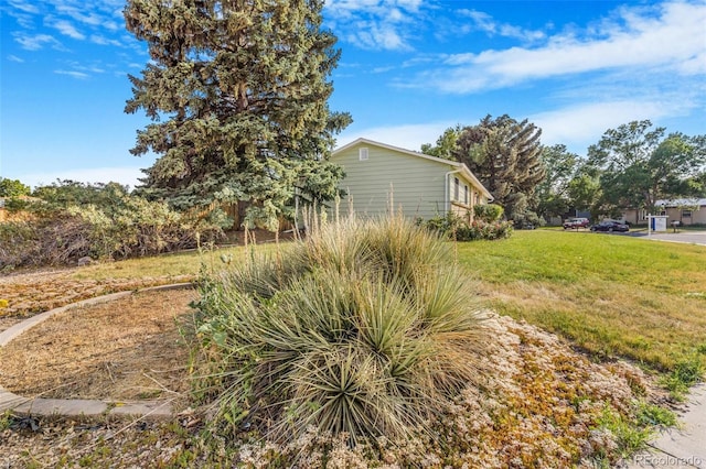 3480 E 119th St, Thornton, CO 80233 - view of green lawn