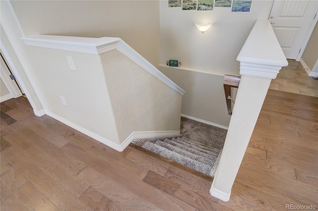 6812 Indian Paintbrush St, Frederick, CO 80530 - stairway featuring wood finished floors and baseboards