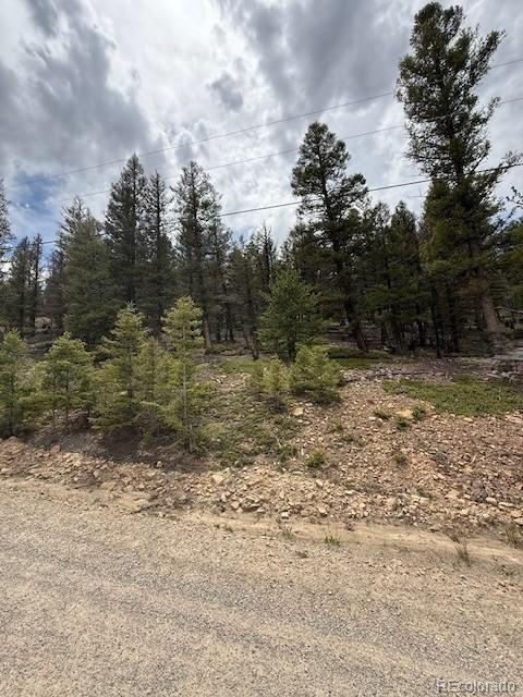 2689 Redhill Rd, Fairplay, CO 80440 - photo 1