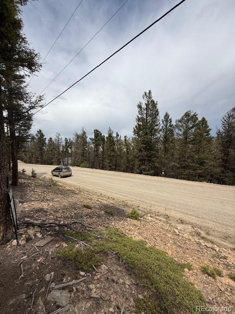 2689 Redhill Rd, Fairplay, CO 80440 - photo 3