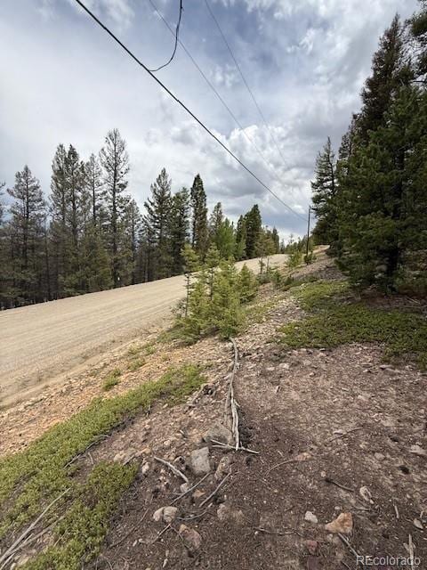 2689 Redhill Rd, Fairplay, CO 80440 - photo 4