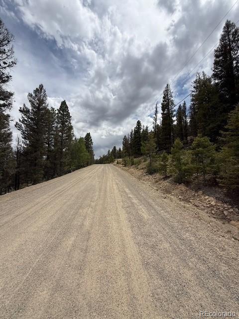 2689 Redhill Rd, Fairplay, CO 80440 - photo 6