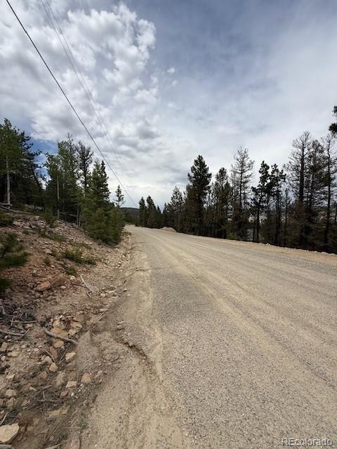 2689 Redhill Rd, Fairplay, CO 80440 - photo 7