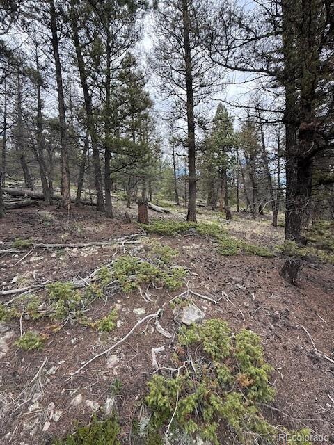2689 Redhill Rd, Fairplay, CO 80440 - photo 8