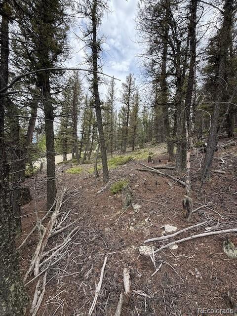 2689 Redhill Rd, Fairplay, CO 80440 - photo 9