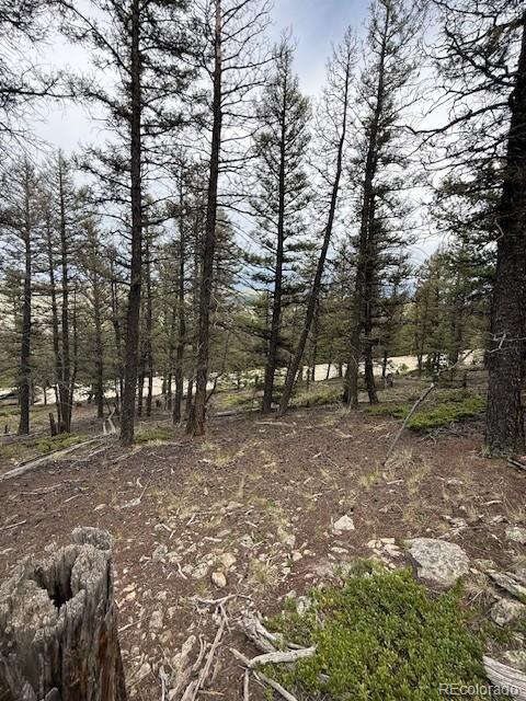 2689 Redhill Rd, Fairplay, CO 80440 - photo 10