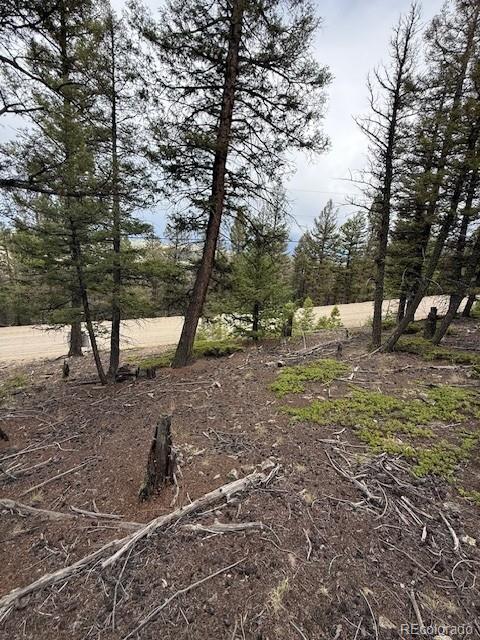 2689 Redhill Rd, Fairplay, CO 80440 - photo 11