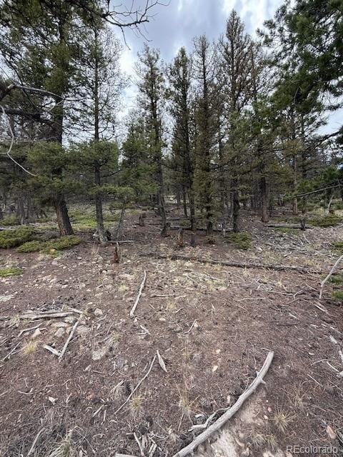 2689 Redhill Rd, Fairplay, CO 80440 - photo 13