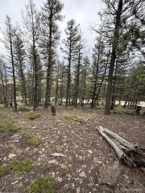 2689 Redhill Rd, Fairplay, CO 80440 - photo 14