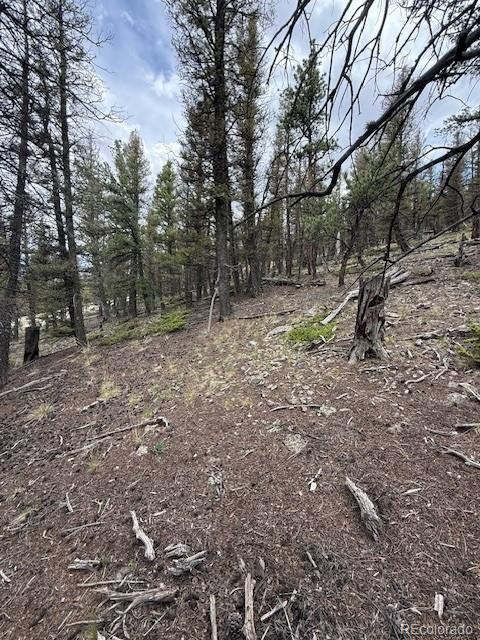 2689 Redhill Rd, Fairplay, CO 80440 - photo 16