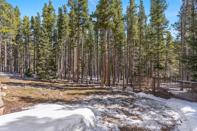 140 Beaver Rd, Idaho Springs, CO 80452 - view of tree filled area