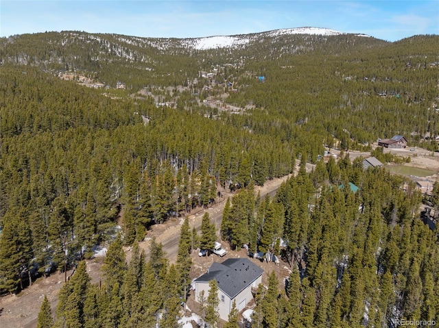 140 Beaver Rd, Idaho Springs, CO 80452 - view of property location with a heavily wooded area and a mountainous background
