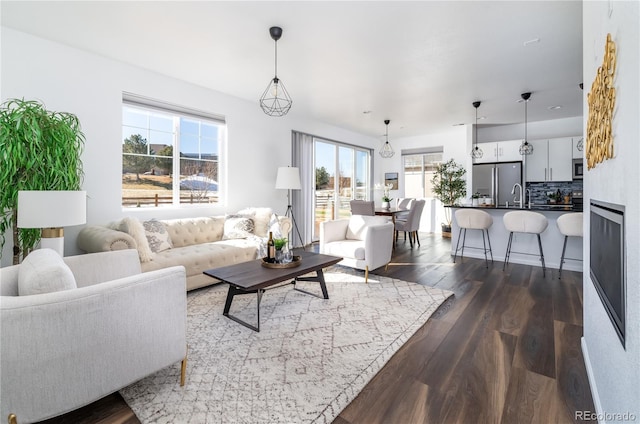 living room with sink and dark hardwood / wood-style flooring