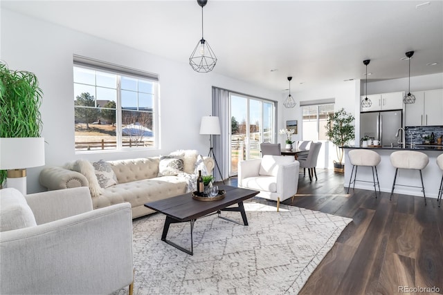 living room with dark hardwood / wood-style floors and sink