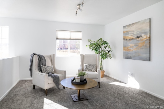 sitting room featuring carpet floors