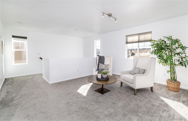 living area featuring carpet flooring and rail lighting