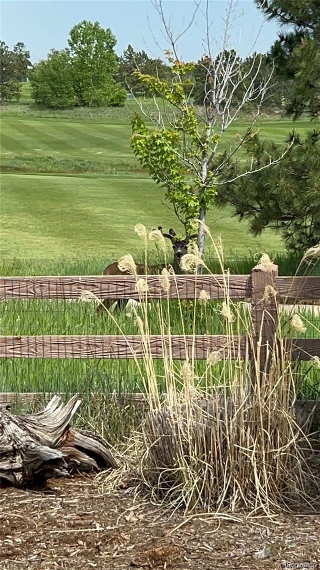 Listing photo 38 - caption unavailable