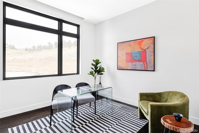 sitting room featuring baseboards and wood finished floors