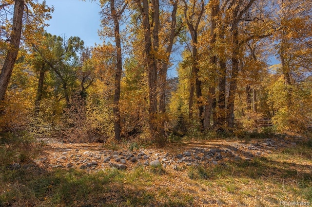 17380 Willow Tree Dr, Salida, CO 81201
