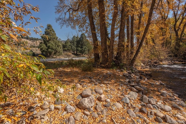 17380 Willow Tree Dr, Salida, CO 81201