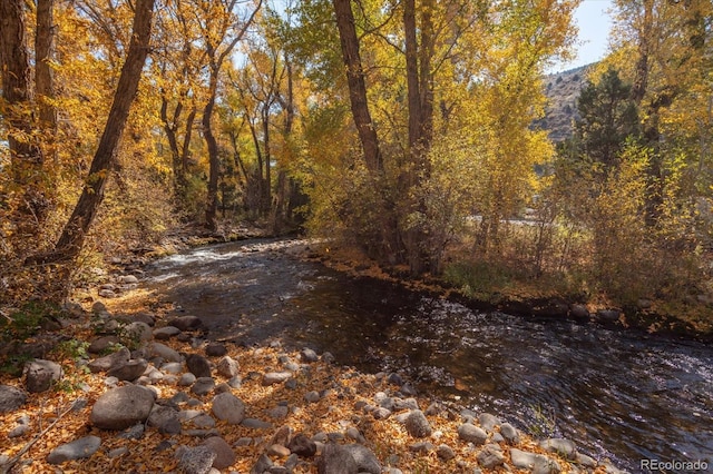 17380 Willow Tree Dr, Salida, CO 81201