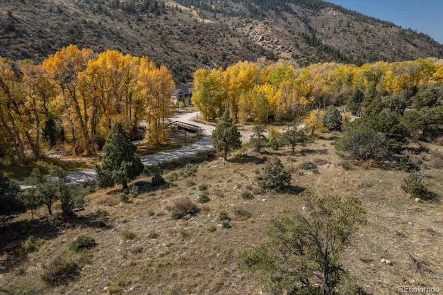 17380 Willow Tree Dr, Salida, CO 81201