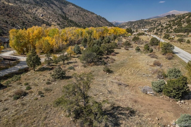 17380 Willow Tree Dr, Salida, CO 81201