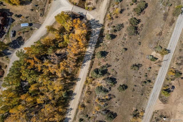 17380 Willow Tree Dr, Salida, CO 81201