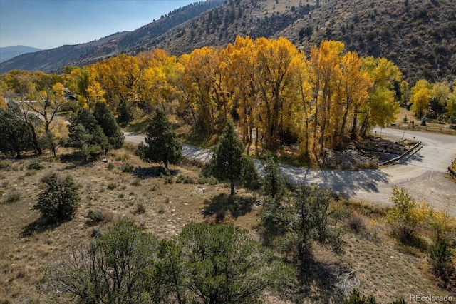 17380 Willow Tree Dr, Salida, CO 81201