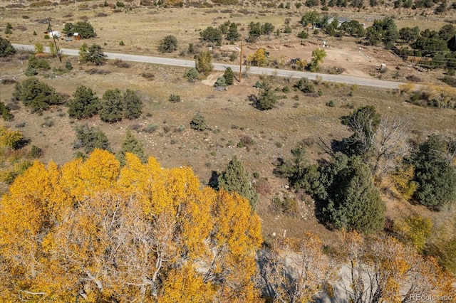 17380 Willow Tree Dr, Salida, CO 81201