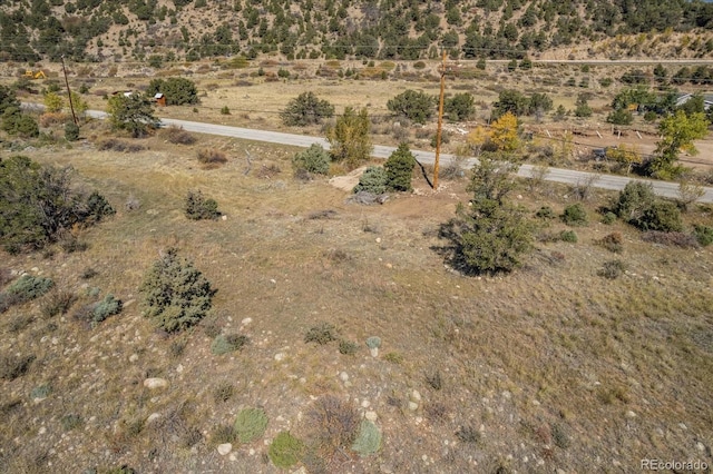 17380 Willow Tree Dr, Salida, CO 81201