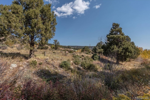 17380 Willow Tree Dr, Salida, CO 81201