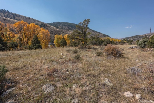 17380 Willow Tree Dr, Salida, CO 81201