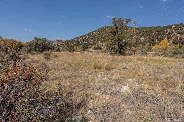 17380 Willow Tree Dr, Salida, CO 81201